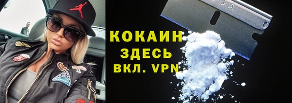шишки Беломорск