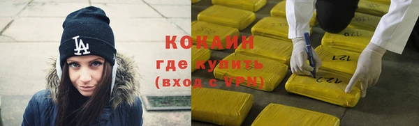шишки Беломорск
